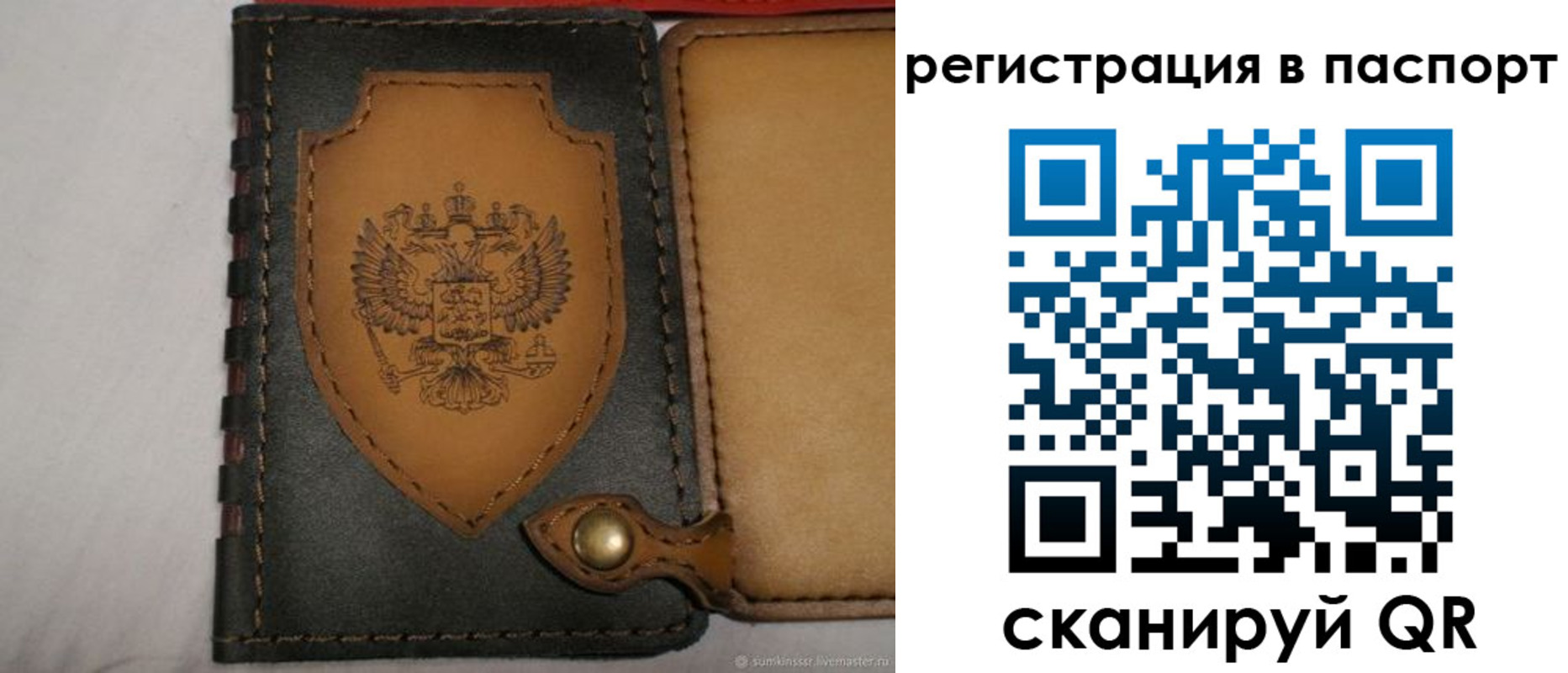 прописка поиск в Электрогорске